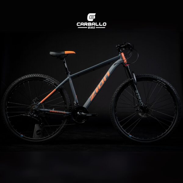 ZION ASPRO - Image 2